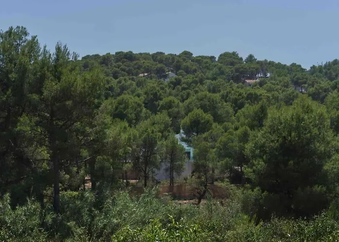 Calma Villa. De Lujo, Jacuzzi Y Piscina Valencia